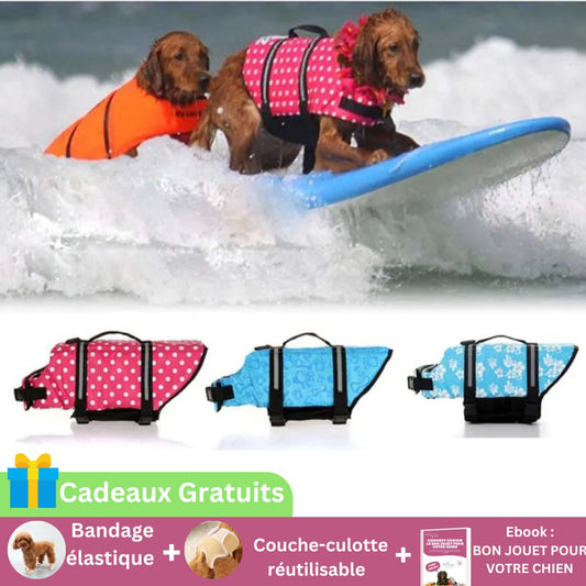 SecureBain ™ | Veste de Sauvetage et Sécurité pour chien