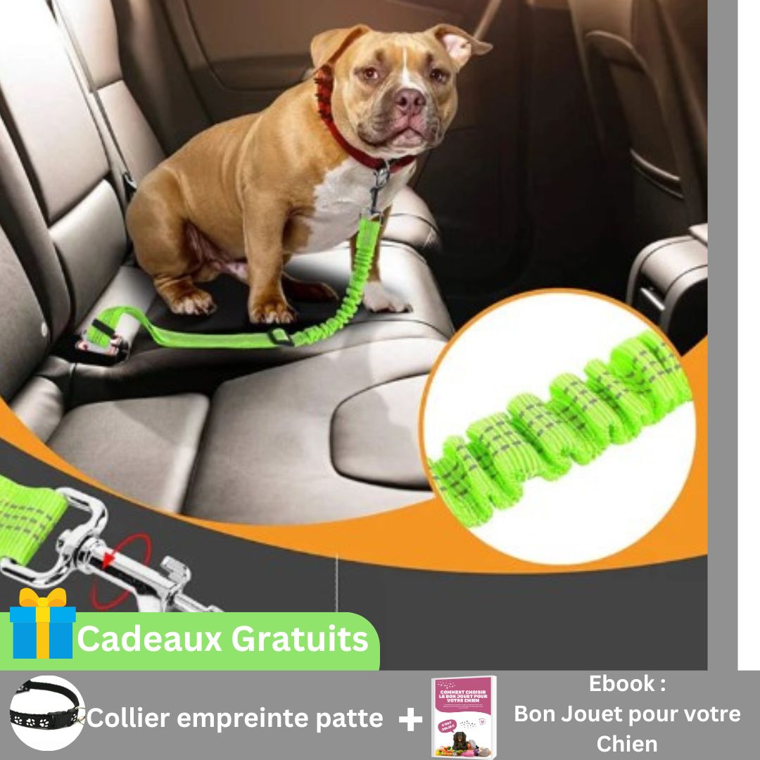 BeltPet™ Ceinture de sécurité pour Chien