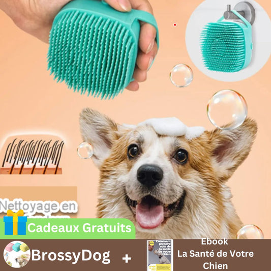 BrossyDog ™ | Brosse pour Chien