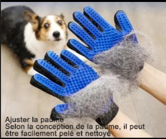 BrossyGants™ l Brosse de toilettage en silicone pour animaux - Maison-DesChiens-Heureux