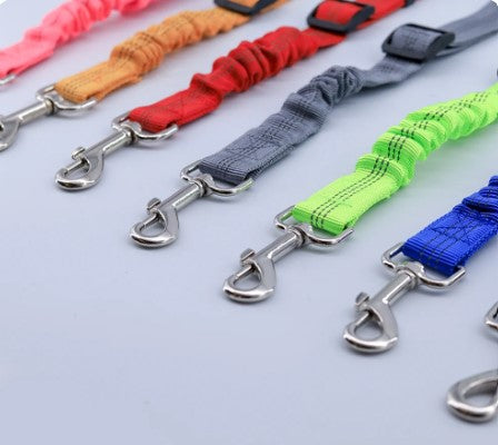 BeltPet™ Ceinture de sécurité pour Chien