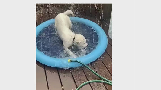 ComfyPool ™ | Piscine gonflable d'été pour animaux de compagnie