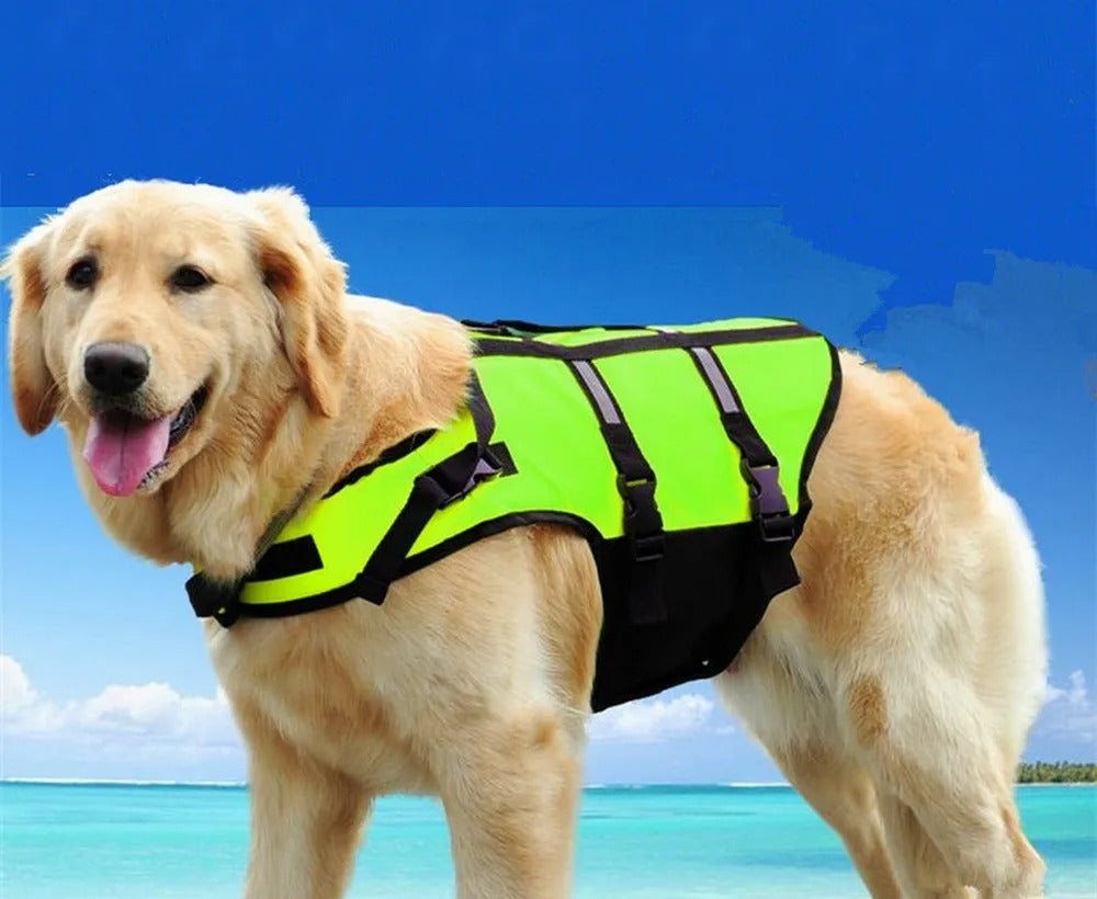 SecureBain ™ | Veste de Sauvetage et Sécurité pour chien